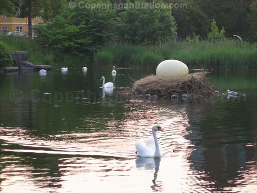 Swans, Giant Egg, and Christianshavns Vold